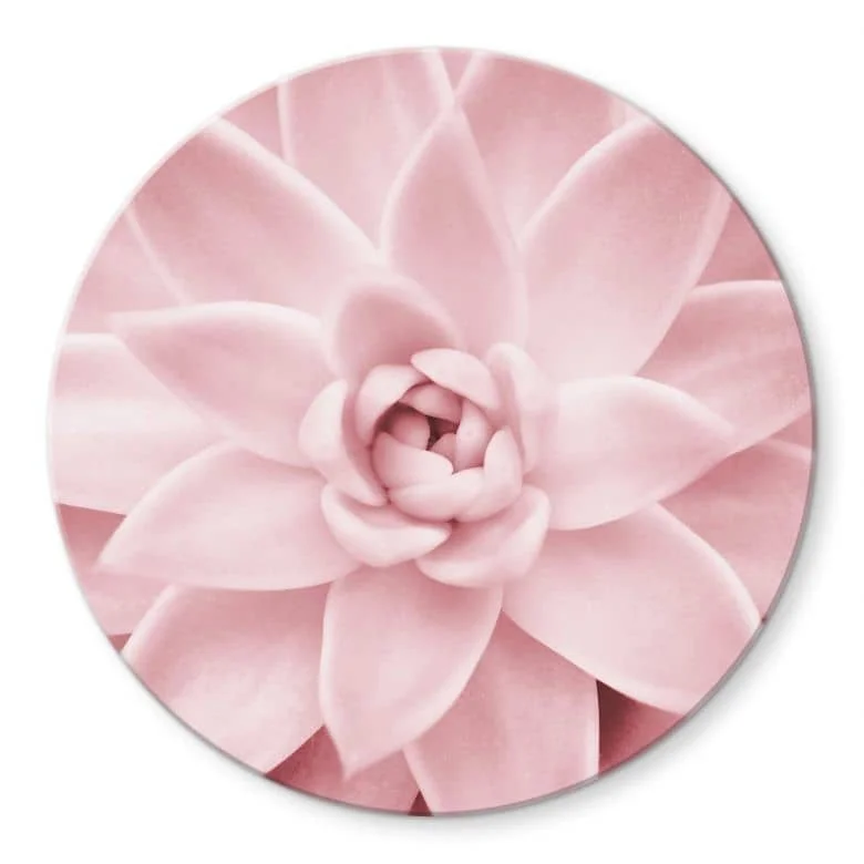 wall-art-1365680