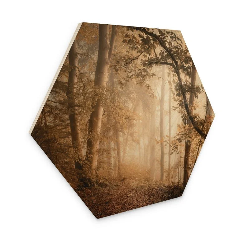 wall-art-1366146