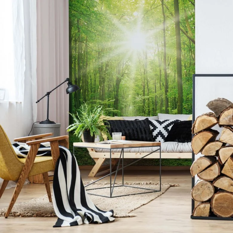 wall-art-1366972