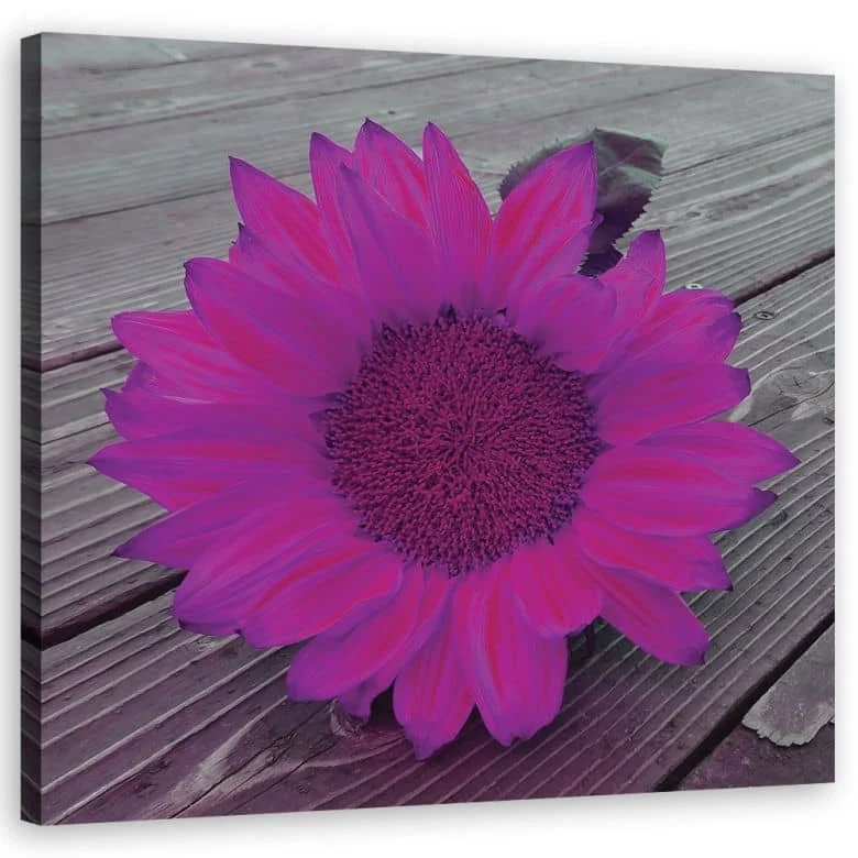 wall-art-1367014