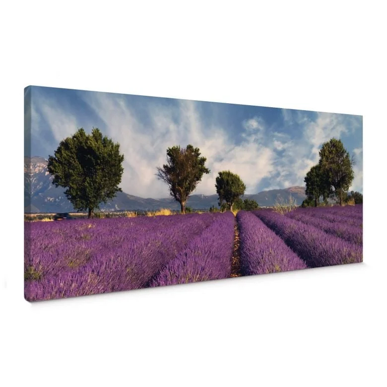 wall-art-1367695