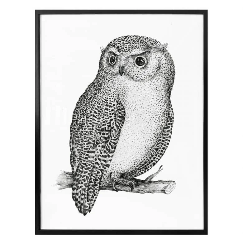 wall-art-1367699