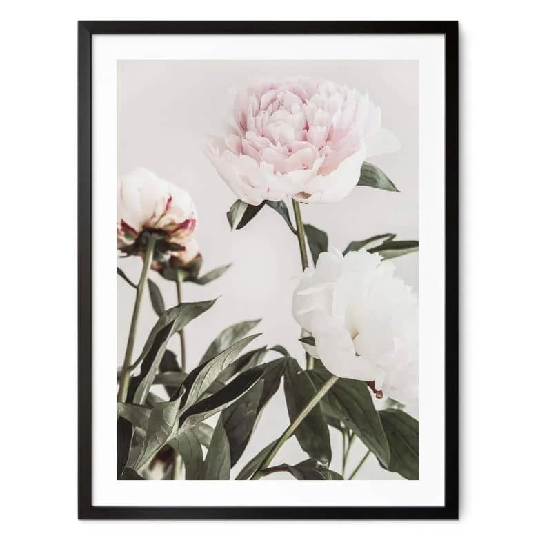 wall-art-1368569