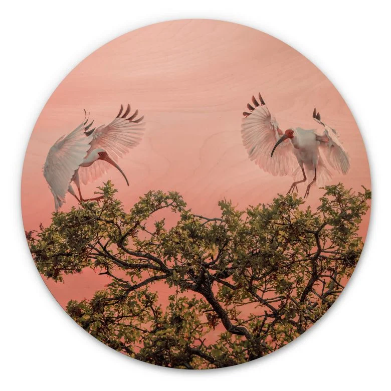 wall-art-1369008