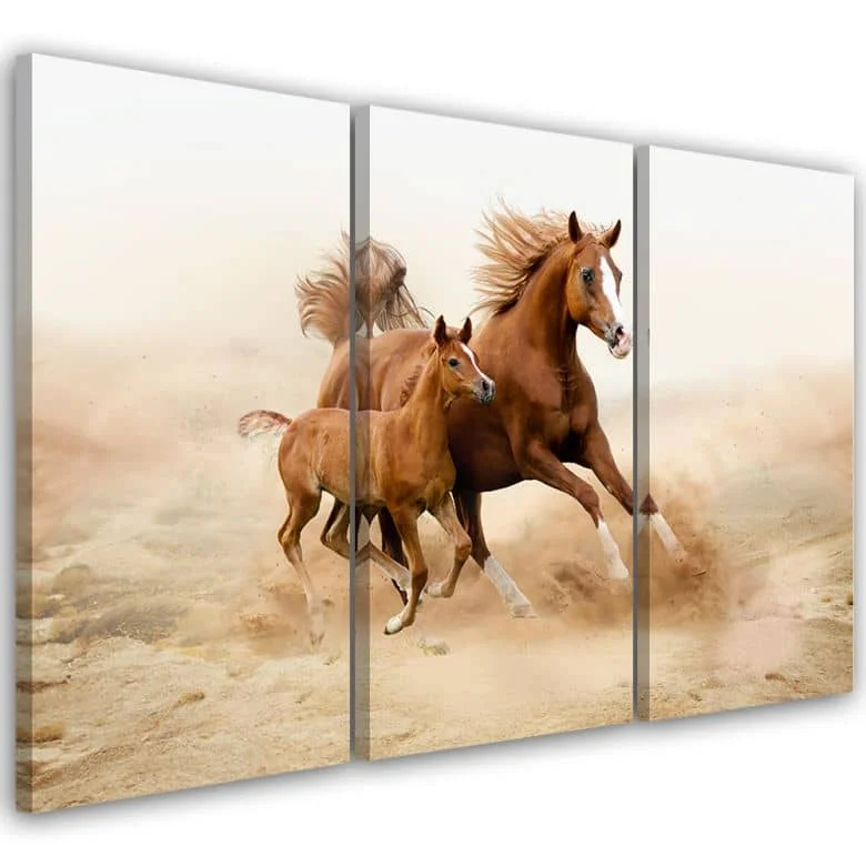 wall-art-1369132
