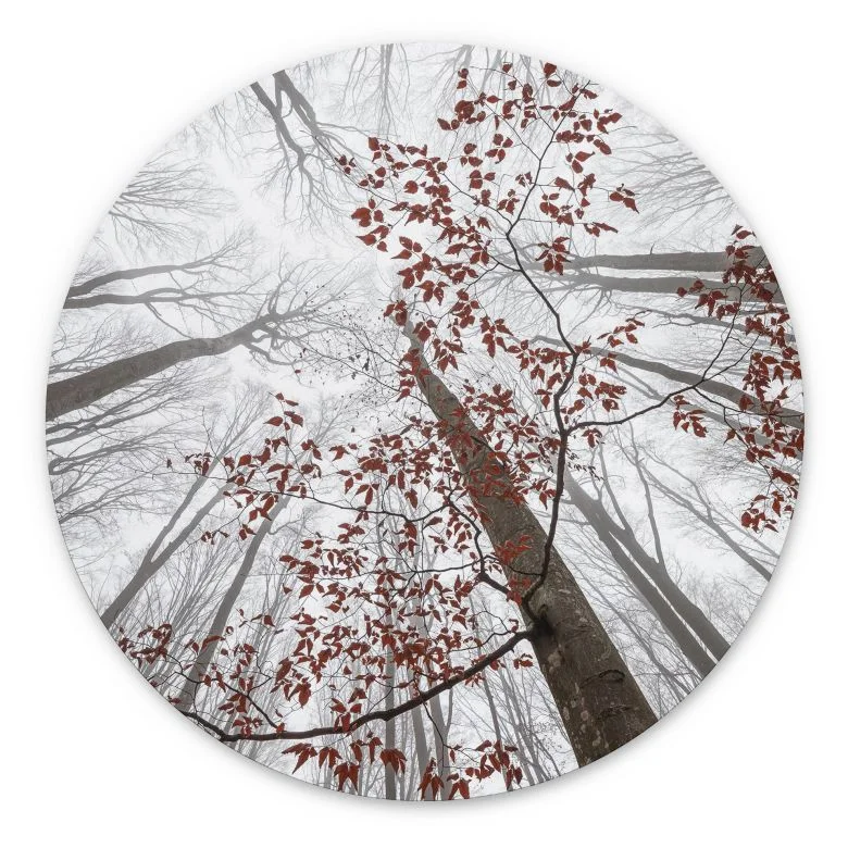 wall-art-1369273