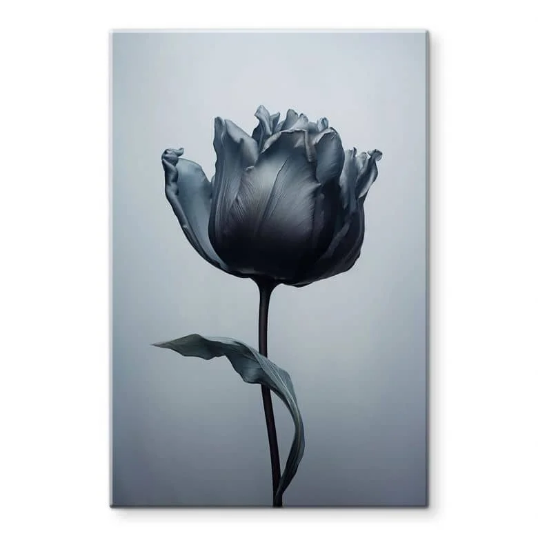 wall-art-1369306