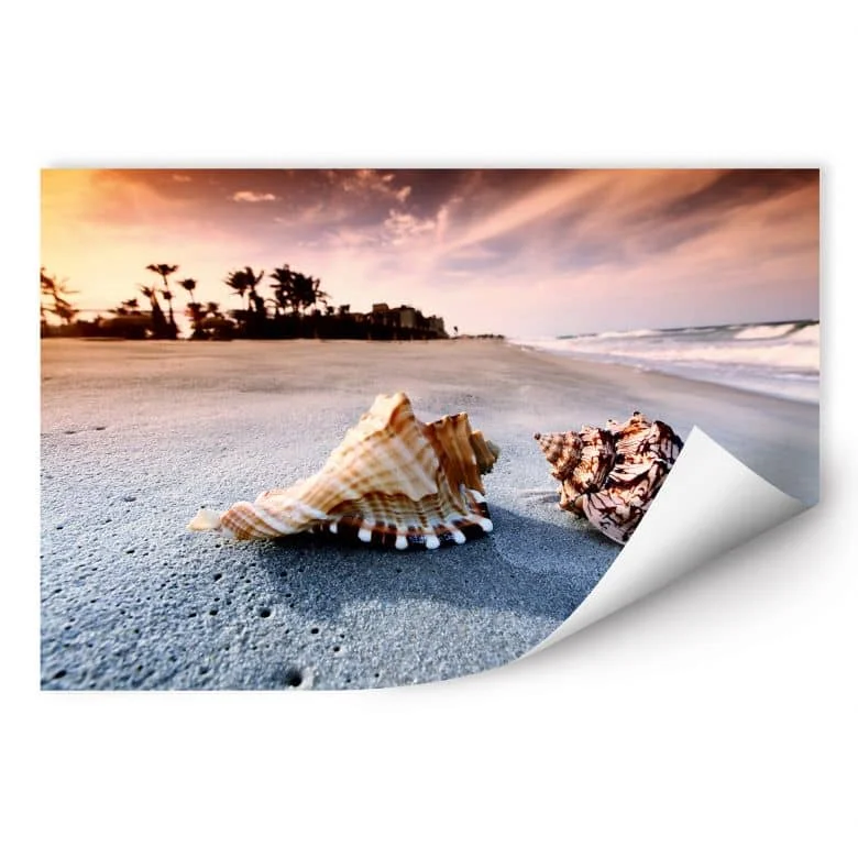 wall-art-1369737