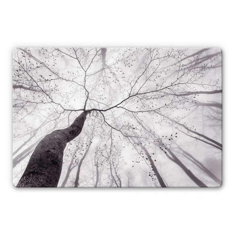 wall-art-1369790