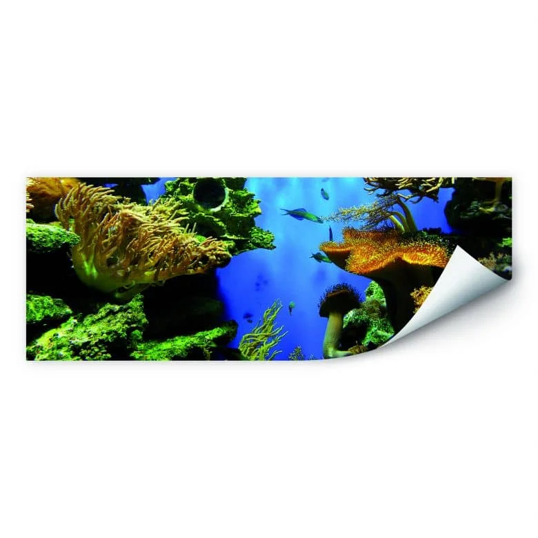 wall-art-1370904
