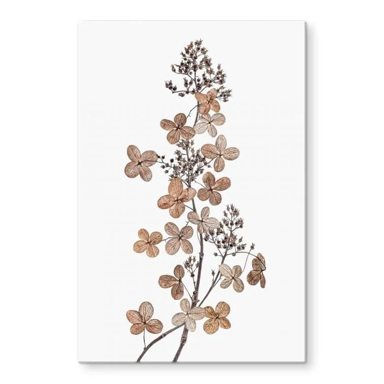wall-art-1371846