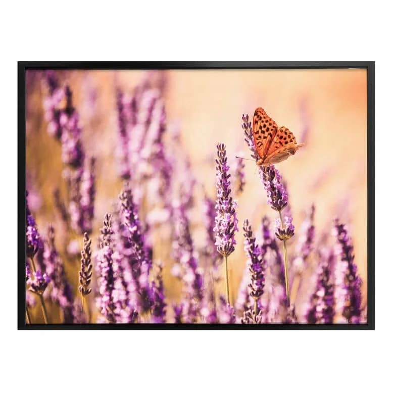 wall-art-1372949