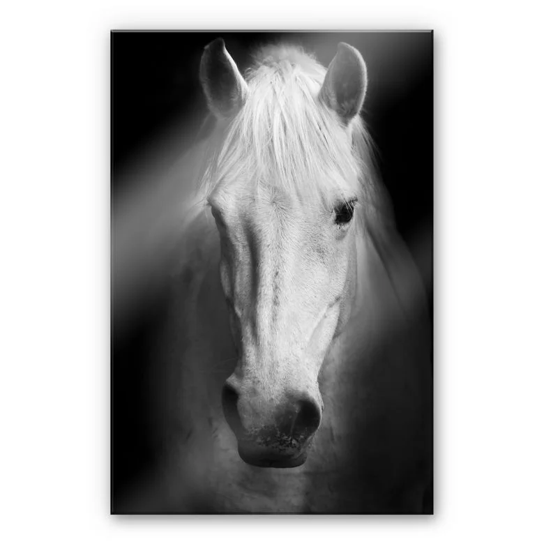 wall-art-1373139