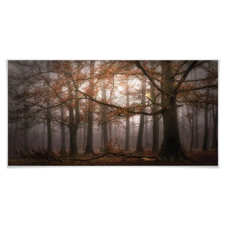 wall-art-1373859