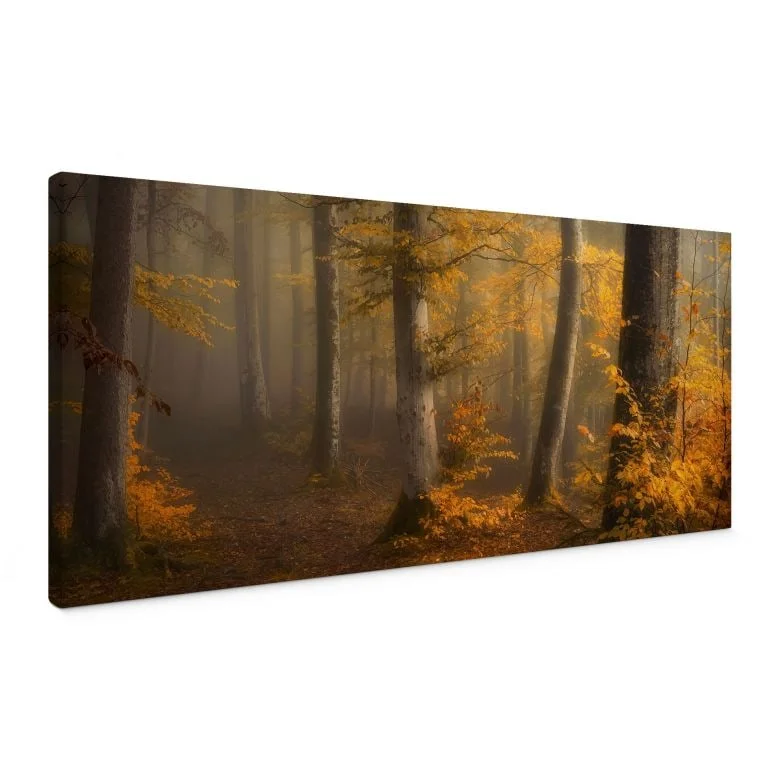 wall-art-1374037