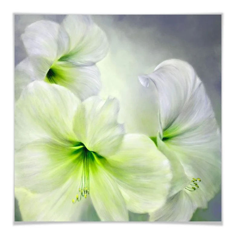 wall-art-1374131