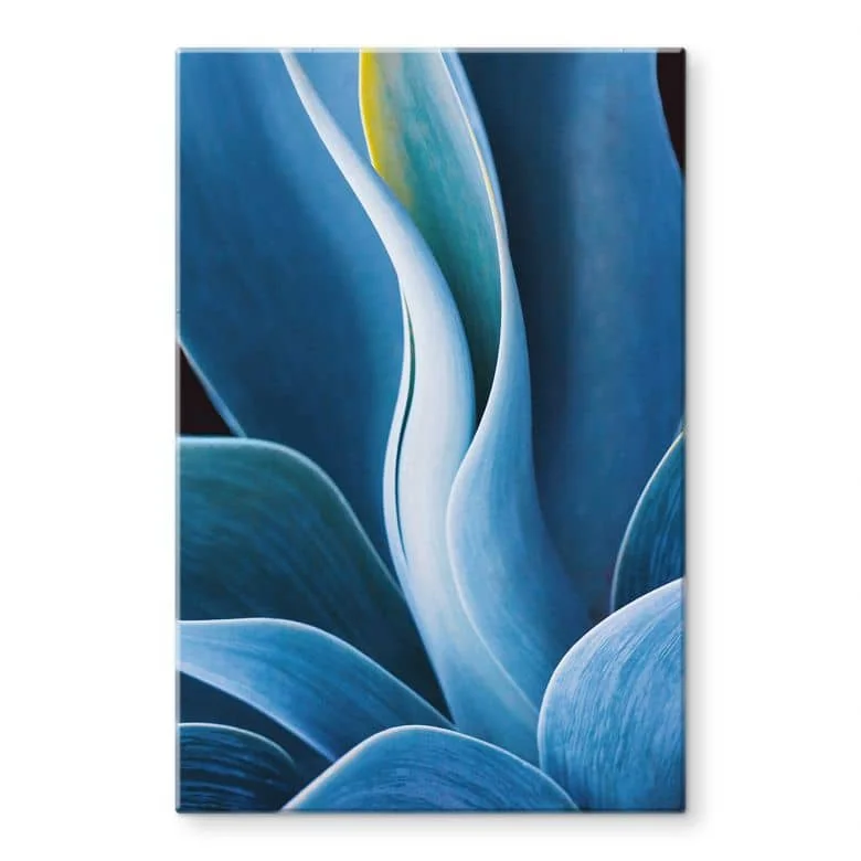 wall-art-1374164