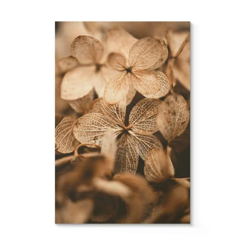 wall-art-1374209