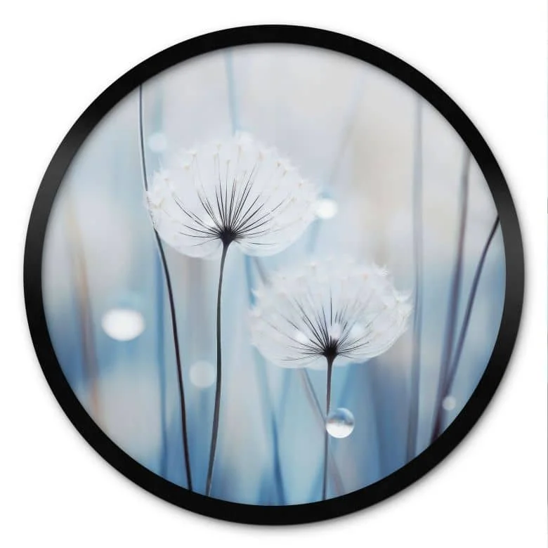 wall-art-1374372