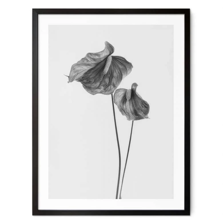 wall-art-1374860