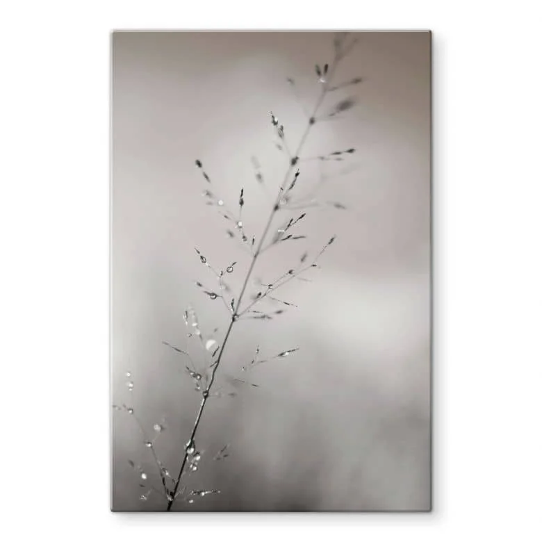wall-art-1375165