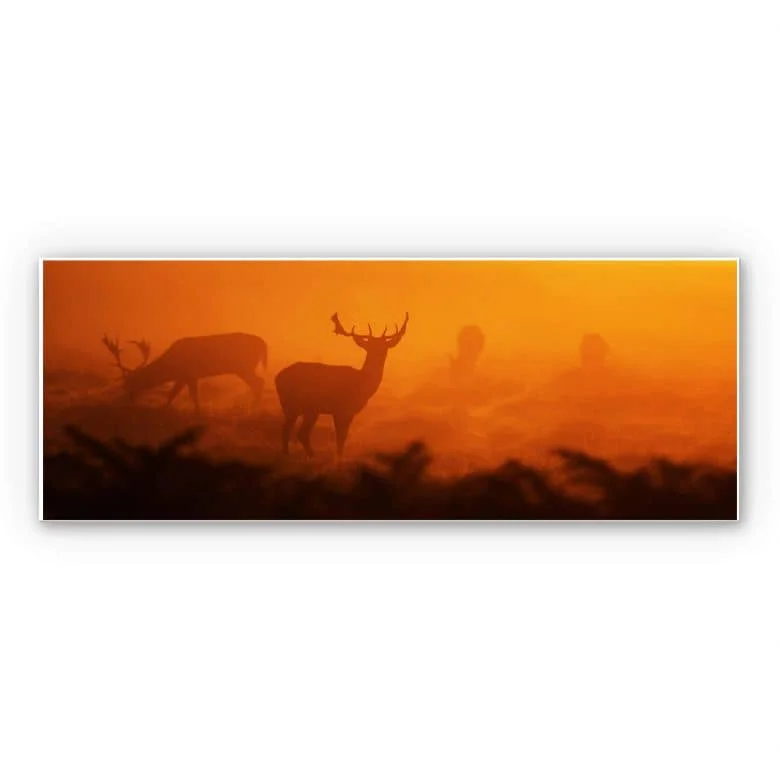 wall-art-1375258