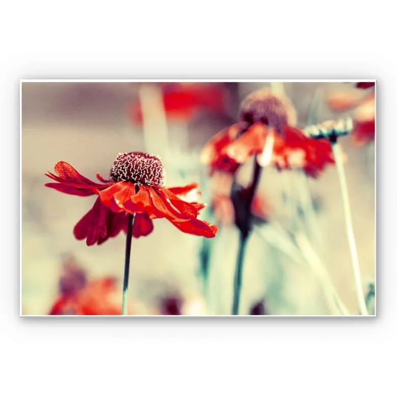 wall-art-1375662