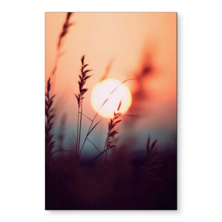 wall-art-1375745