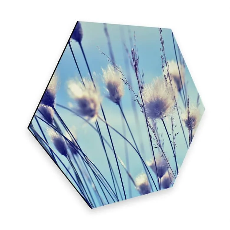 wall-art-1376272