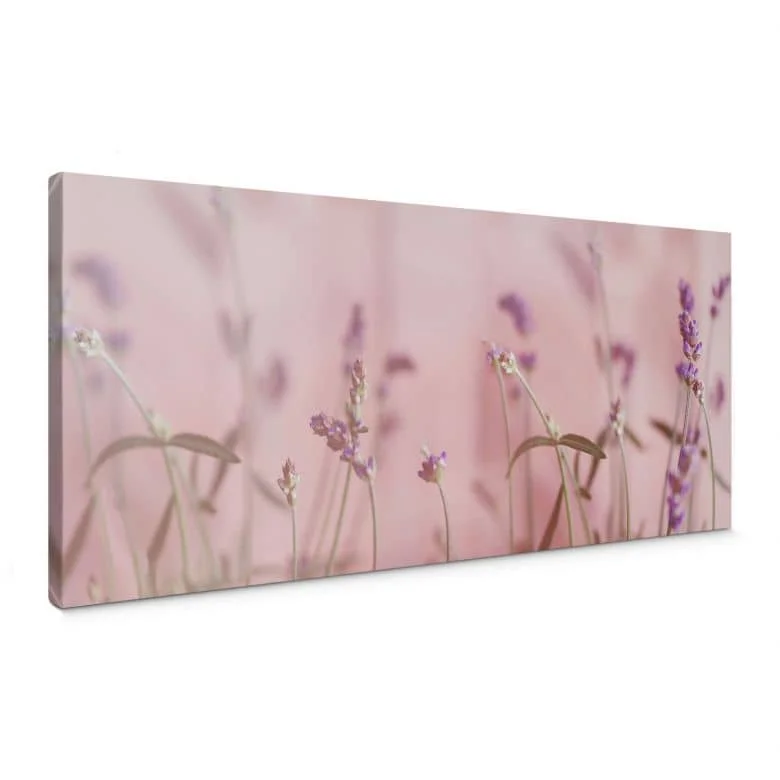 wall-art-1376537