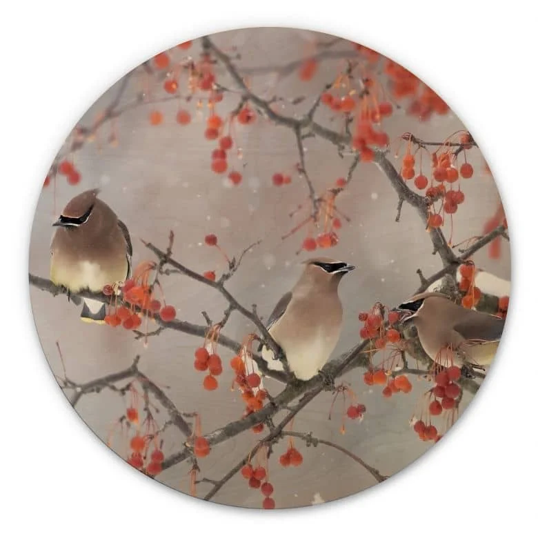 wall-art-1377485
