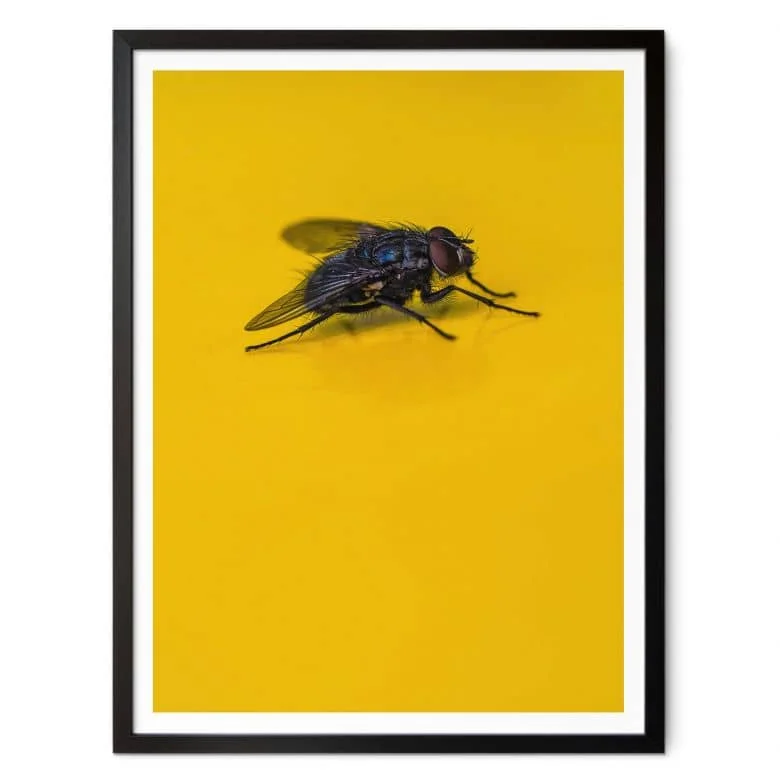 wall-art-1378280