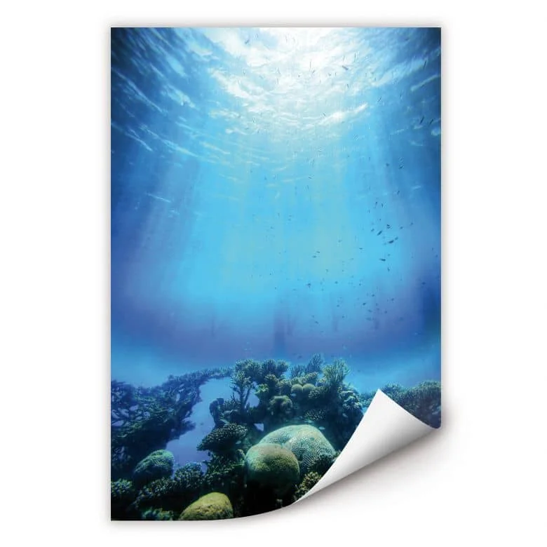 wall-art-1378766