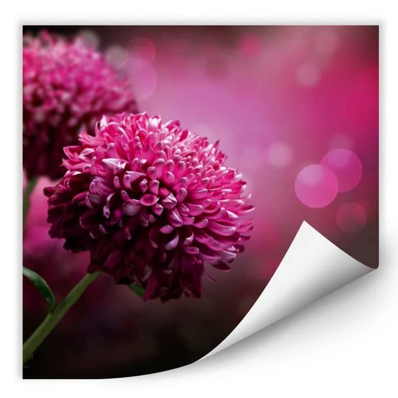 wall-art-1379636
