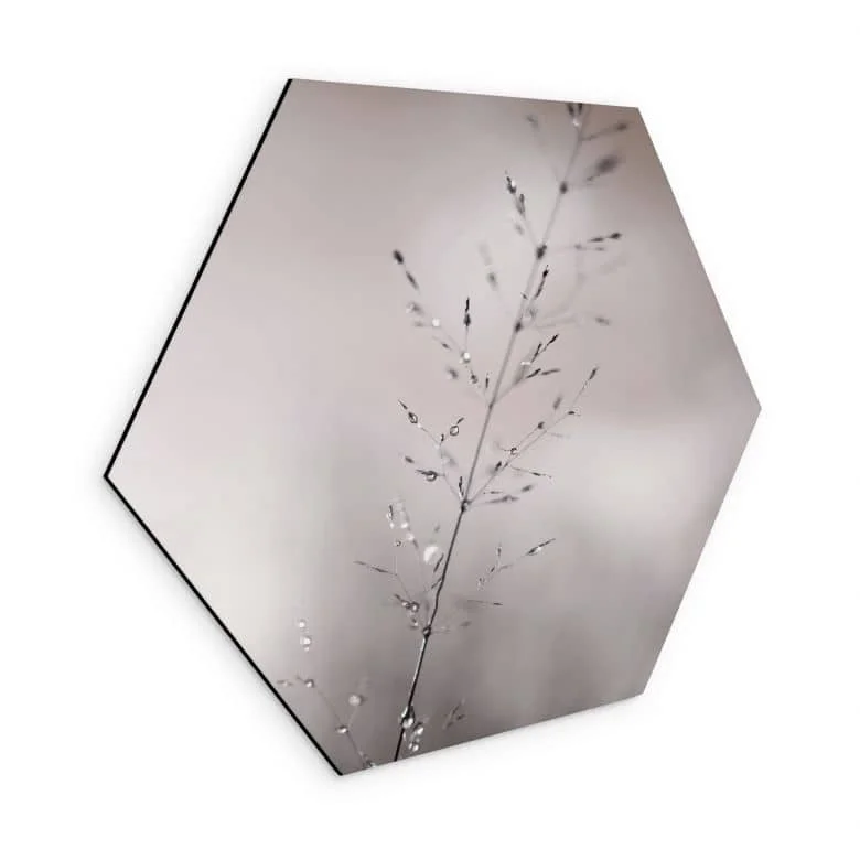 wall-art-1380374