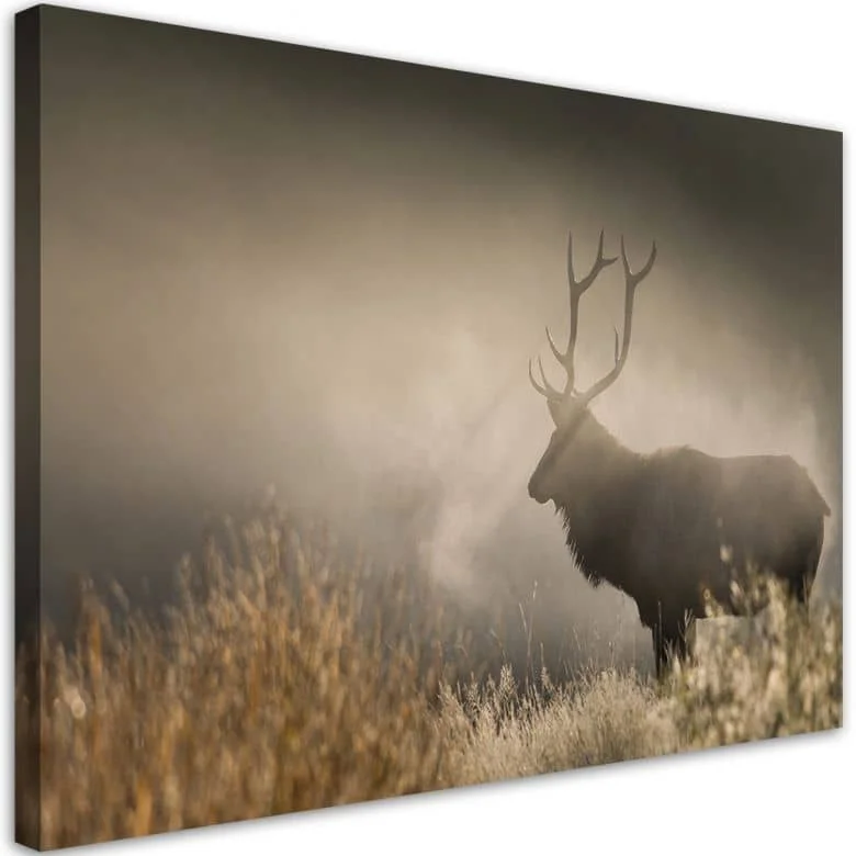 wall-art-1380478