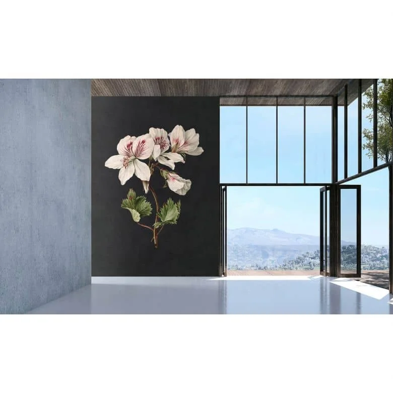 wall-art-1381221