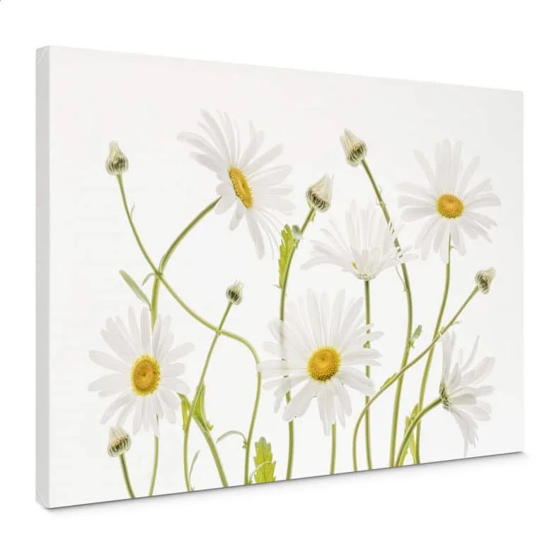 wall-art-1382887