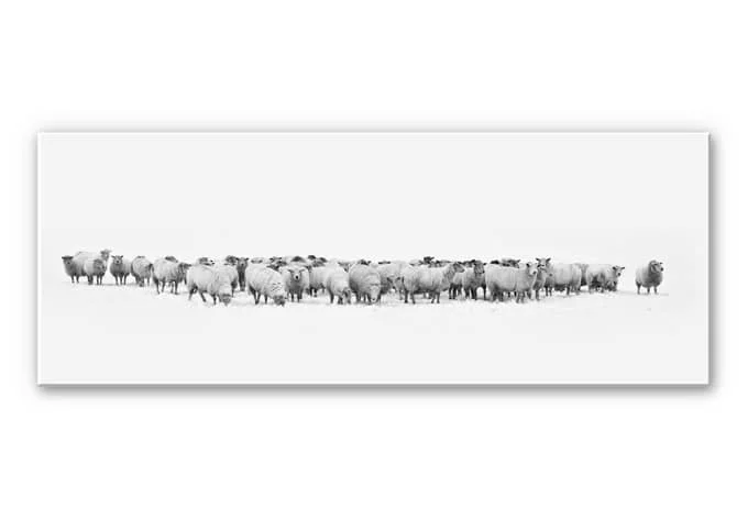 wall-art-1383373
