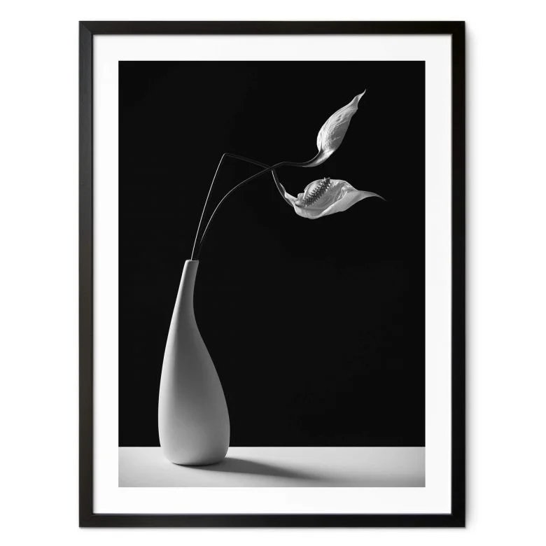 wall-art-1384260