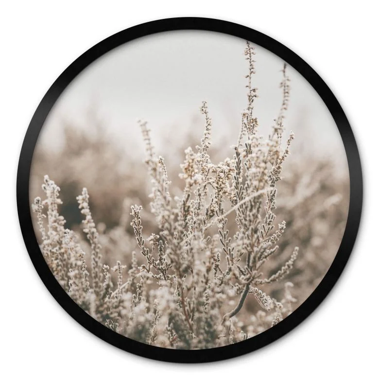 wall-art-1384914