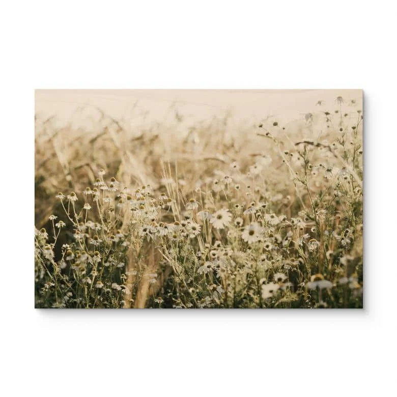 wall-art-1384977