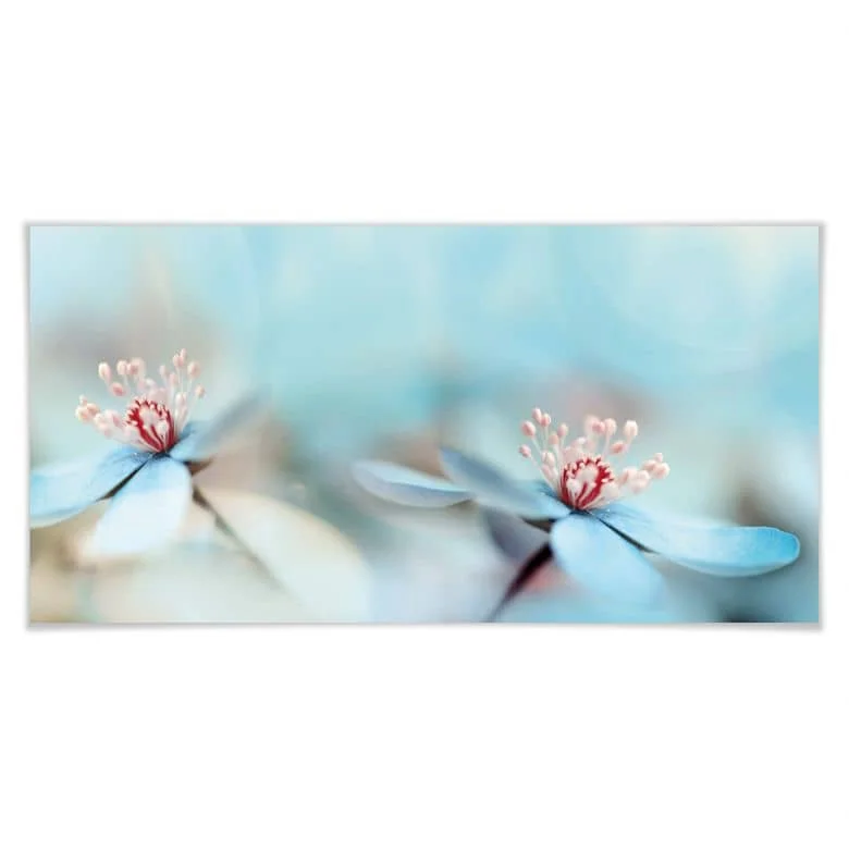 wall-art-1385913