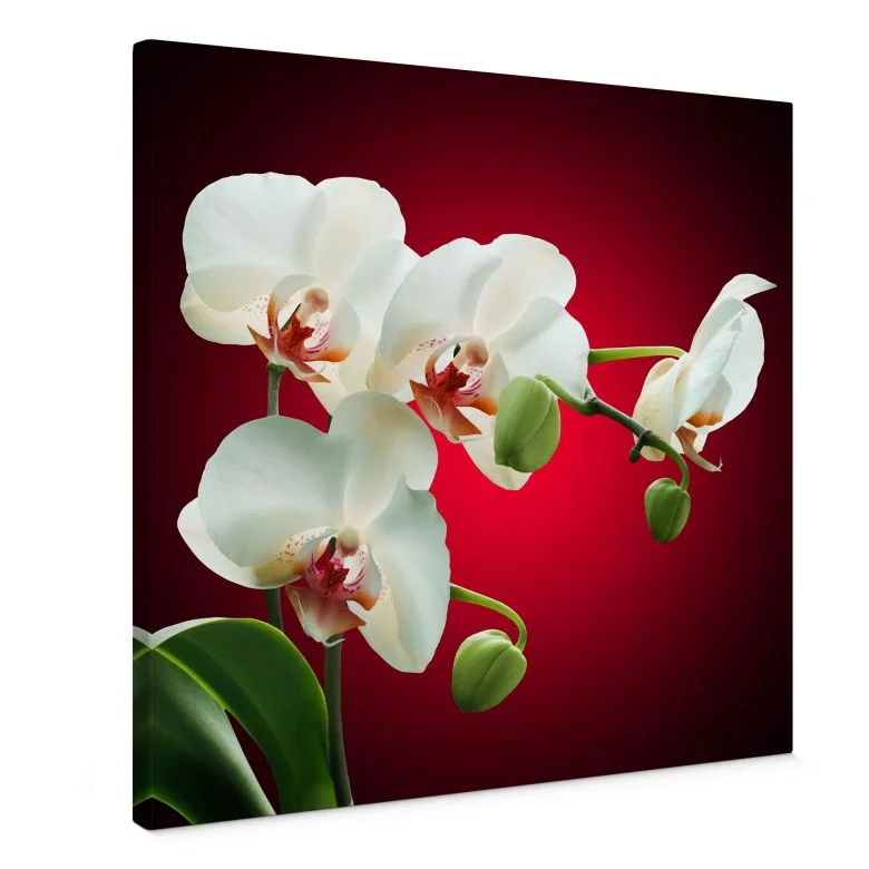 wall-art-1386650