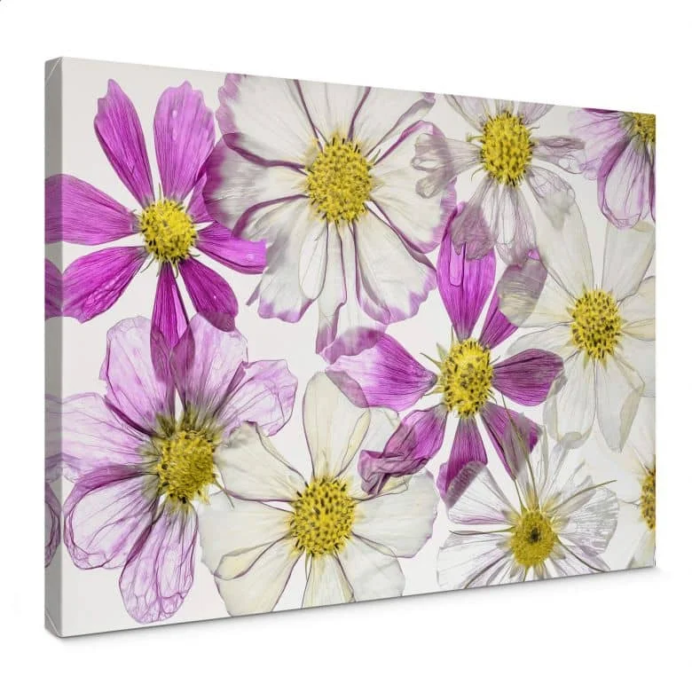wall-art-1386770