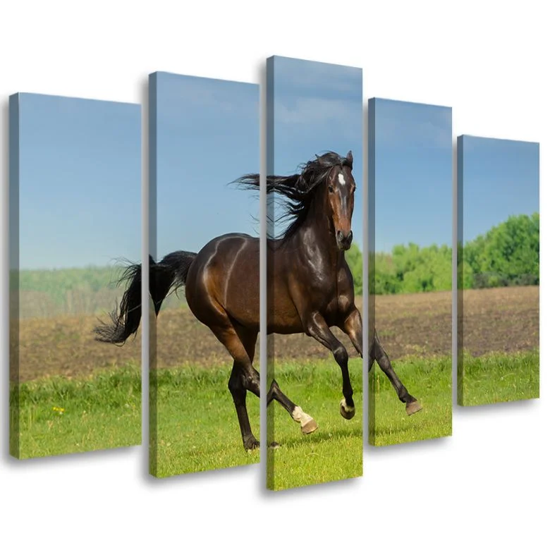 wall-art-1387271