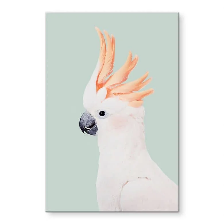 wall-art-1387442
