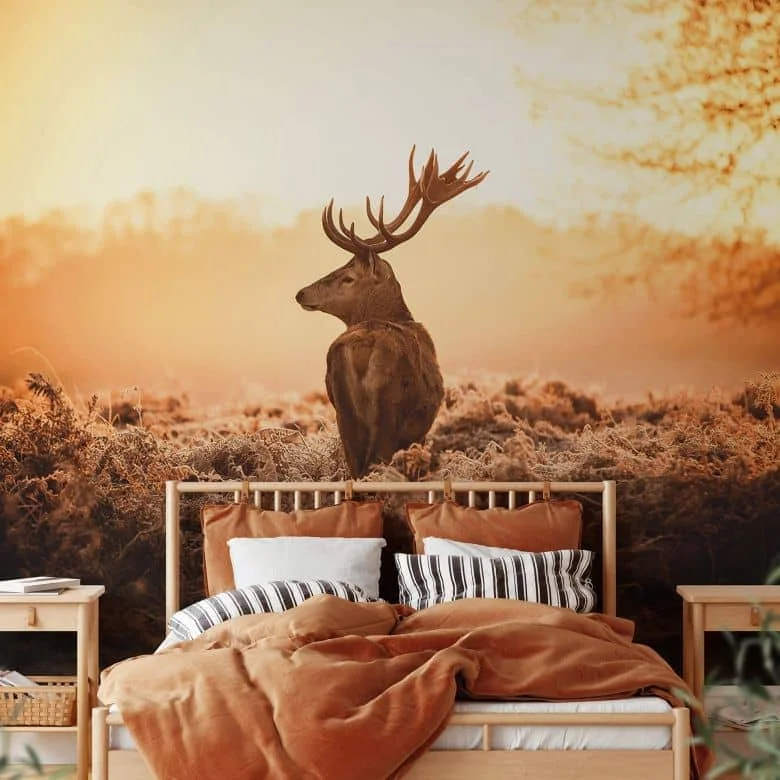 wall-art-1387814