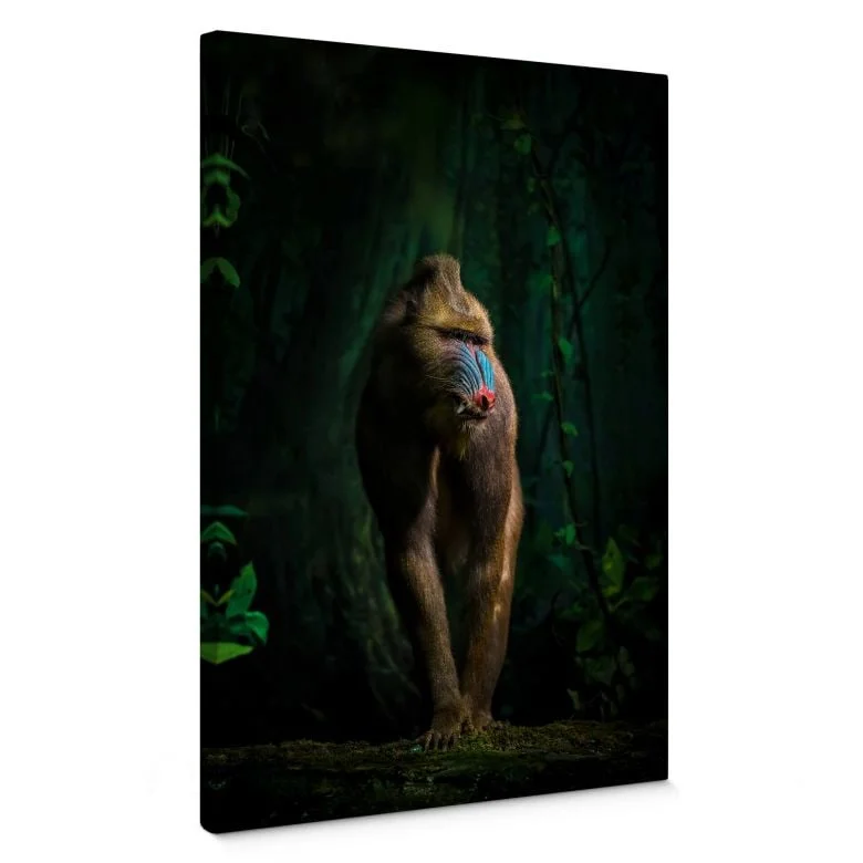 wall-art-1388553