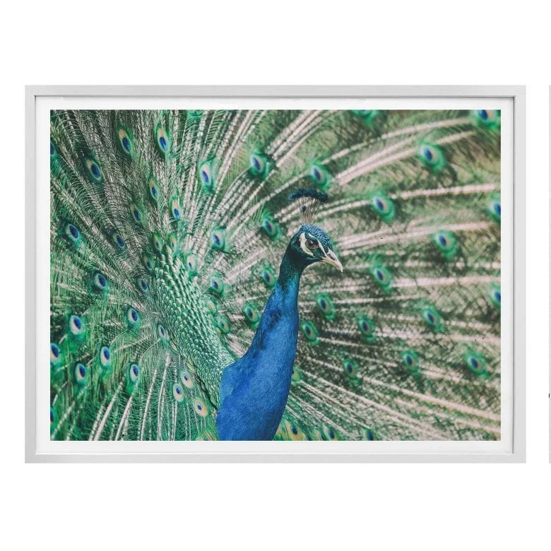 wall-art-1389994